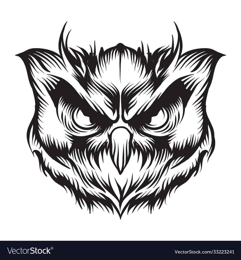 Голова Совы вектор