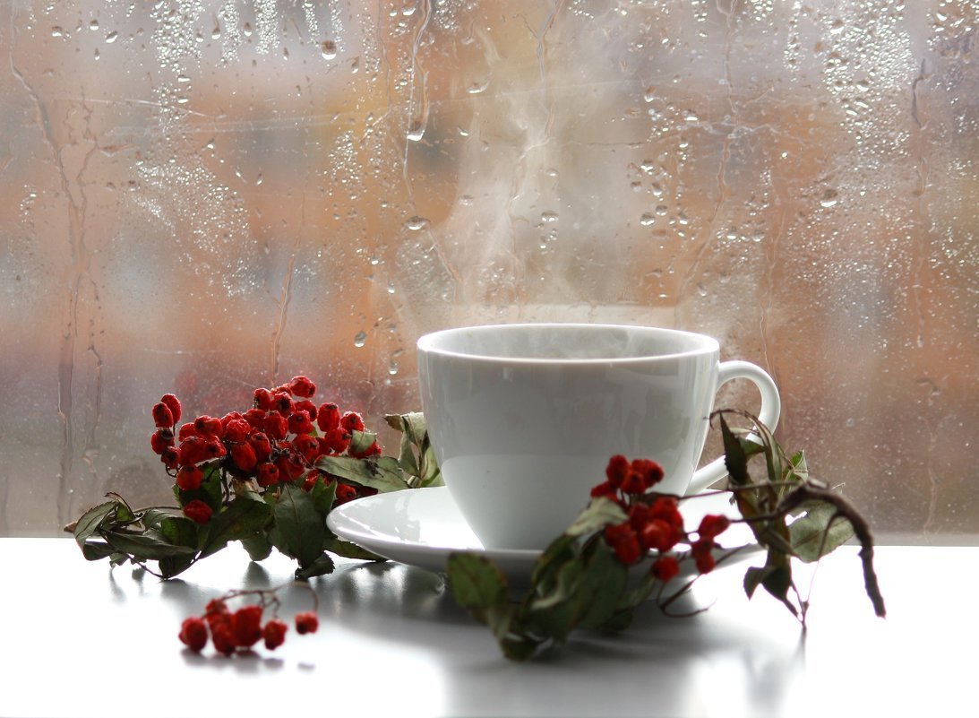 Пусть каждый день будет маленькой дверцей в счастливую жизнь