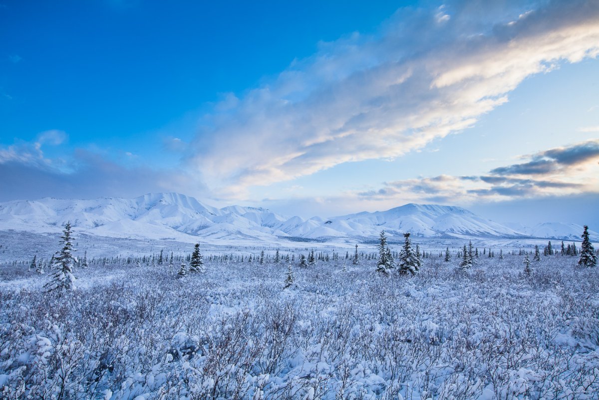 Ямало-Ненецкий автономный округ