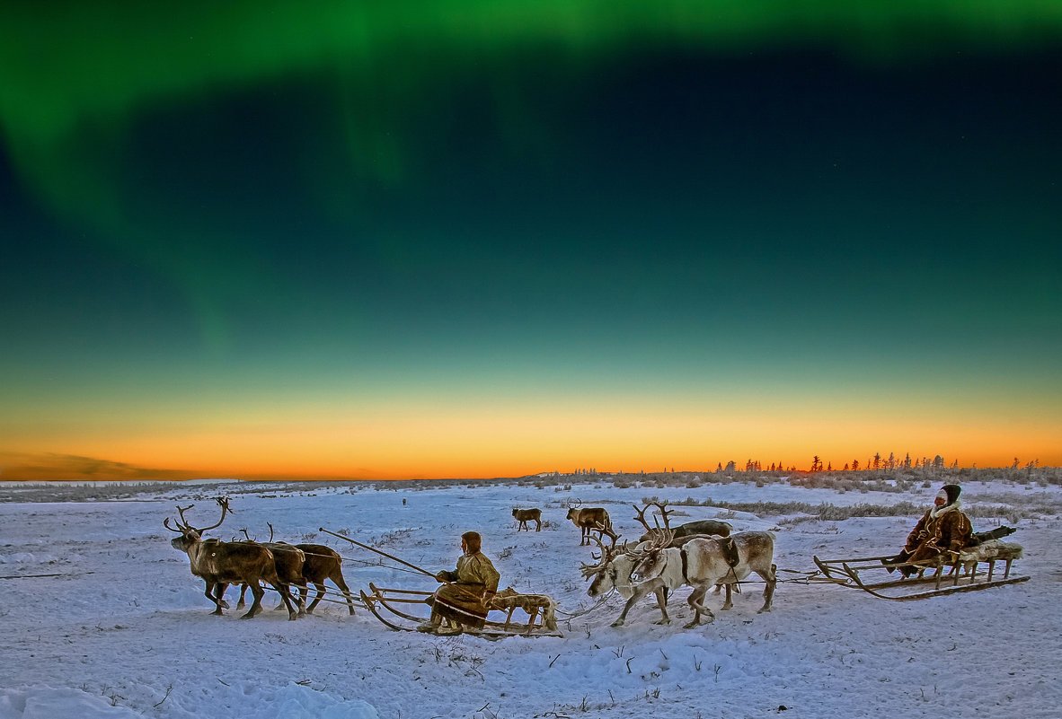 Тундра зимой в минус 40