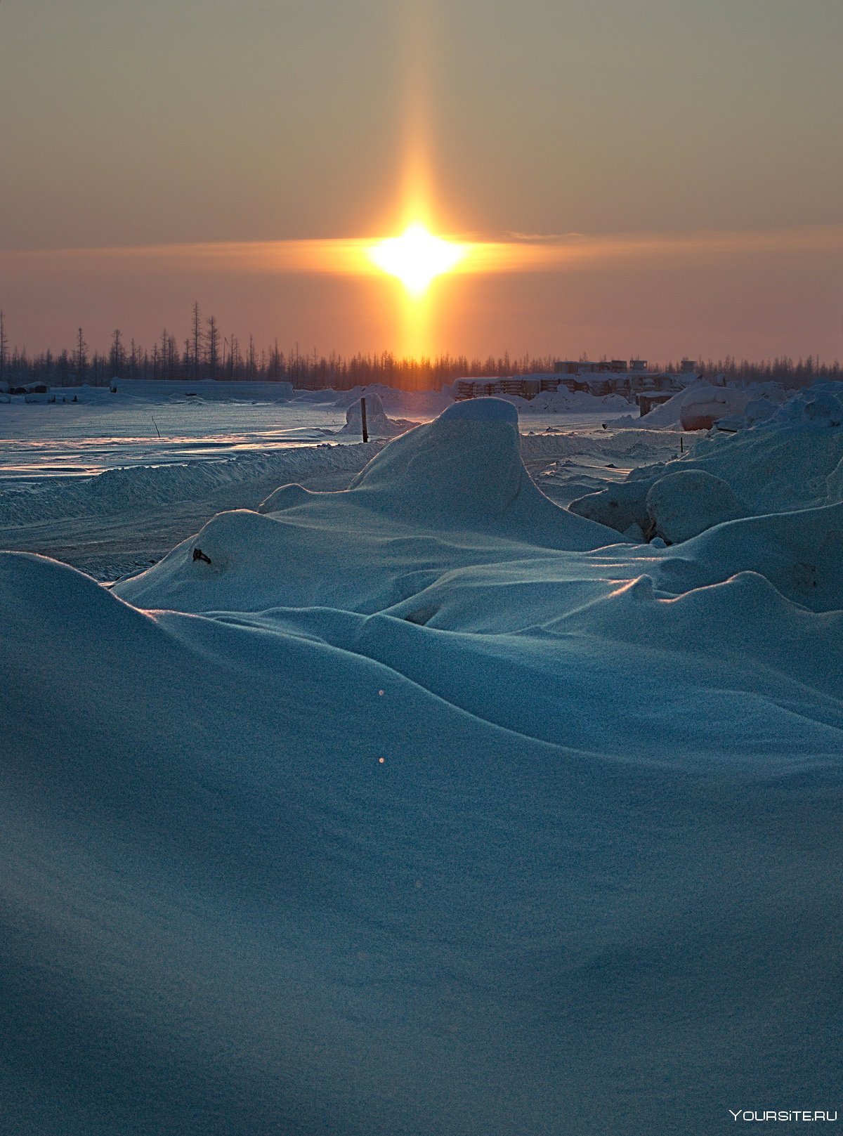 Тундра в Антарктиде