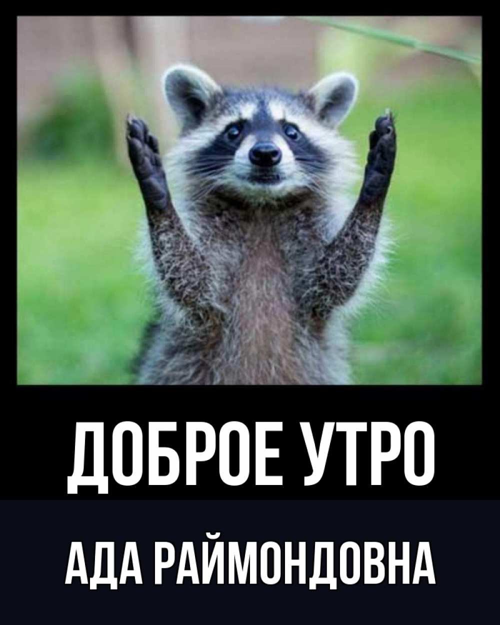 Доброе утро Марина