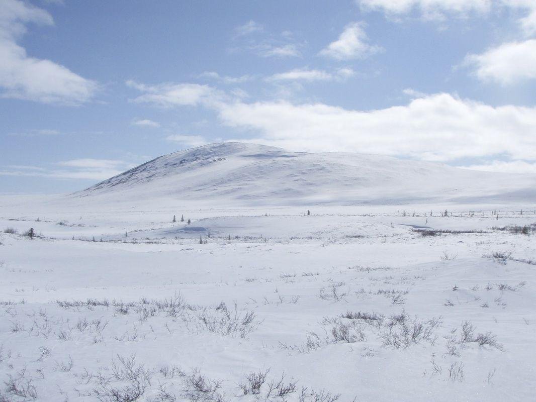В тундре много снега. Arctic Tundra. Арктика тундра. Снежный Покров в тундре. Снежная тундра.