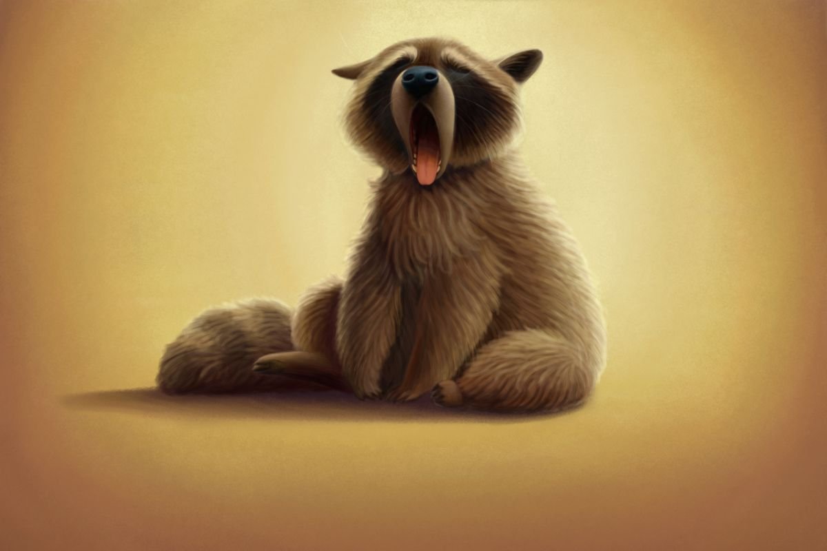 Енот желает доброго утра