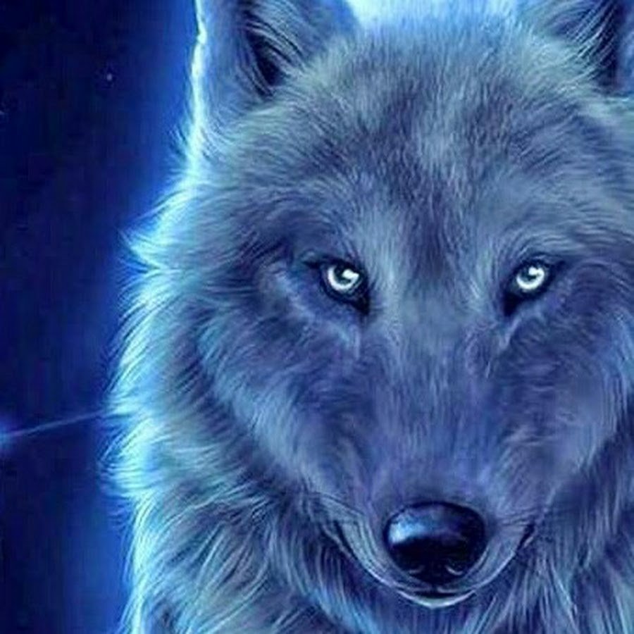 Волк фэнтези