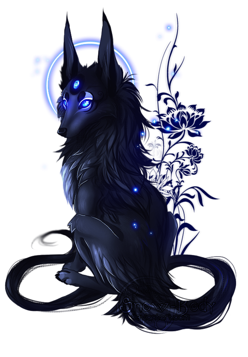 Черный волк с голубыми глазами