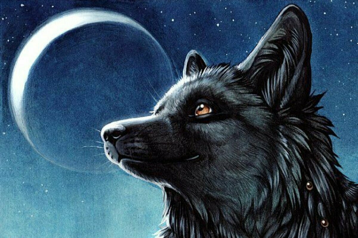 Фурри диджитал