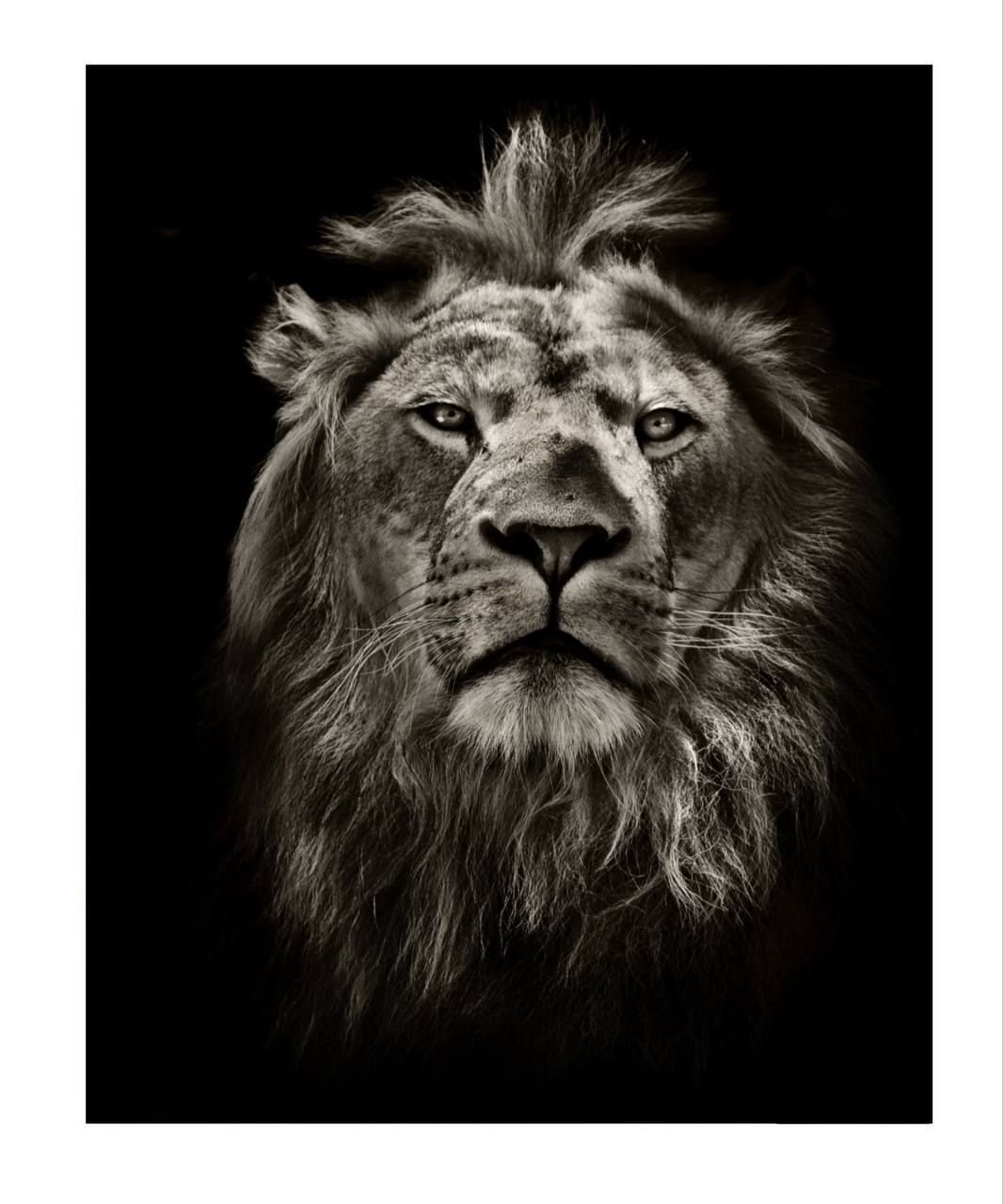 Спокойствие цитаты