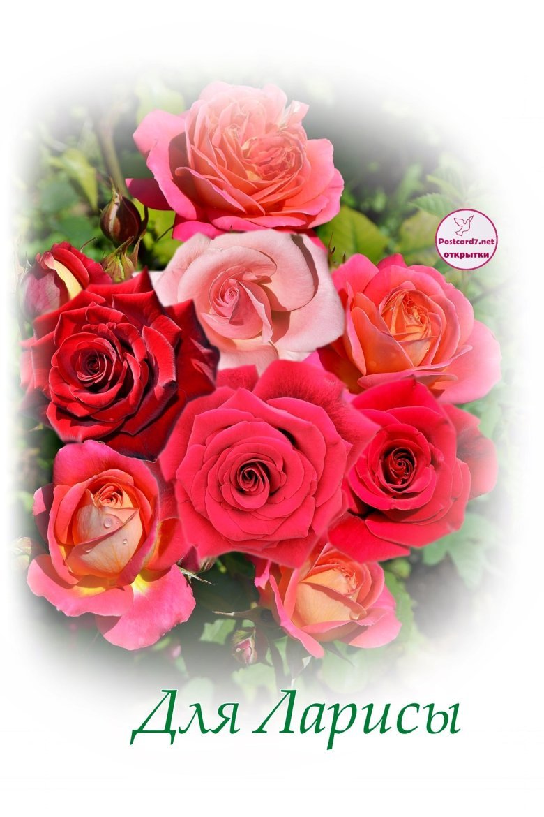 Цветы для Ларисы