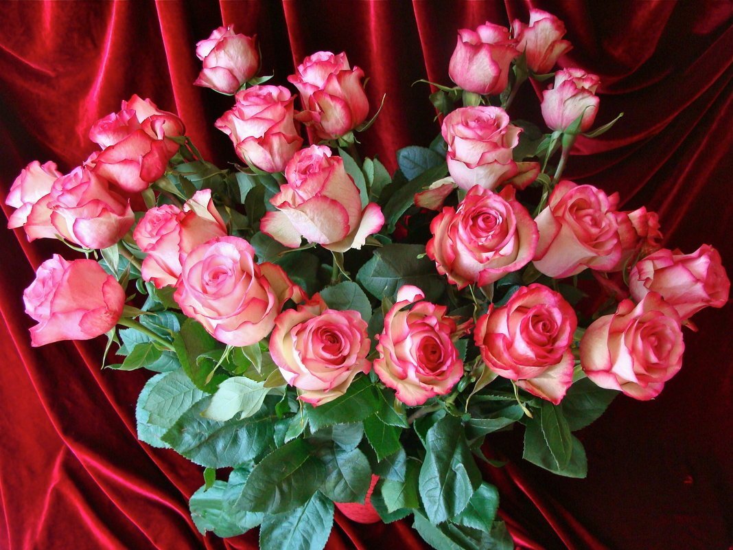 Прекрасные цветы для прекрасной женщины