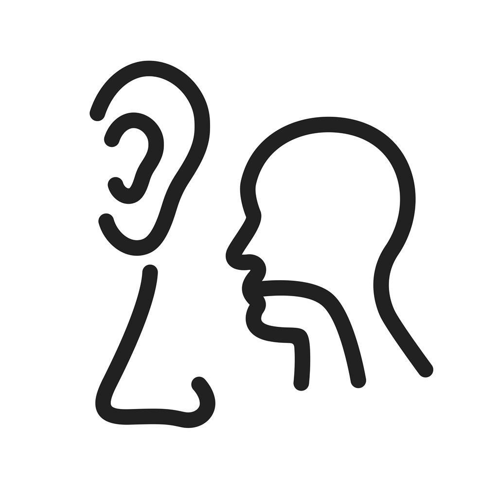 Анатомия ухо горло нос строение