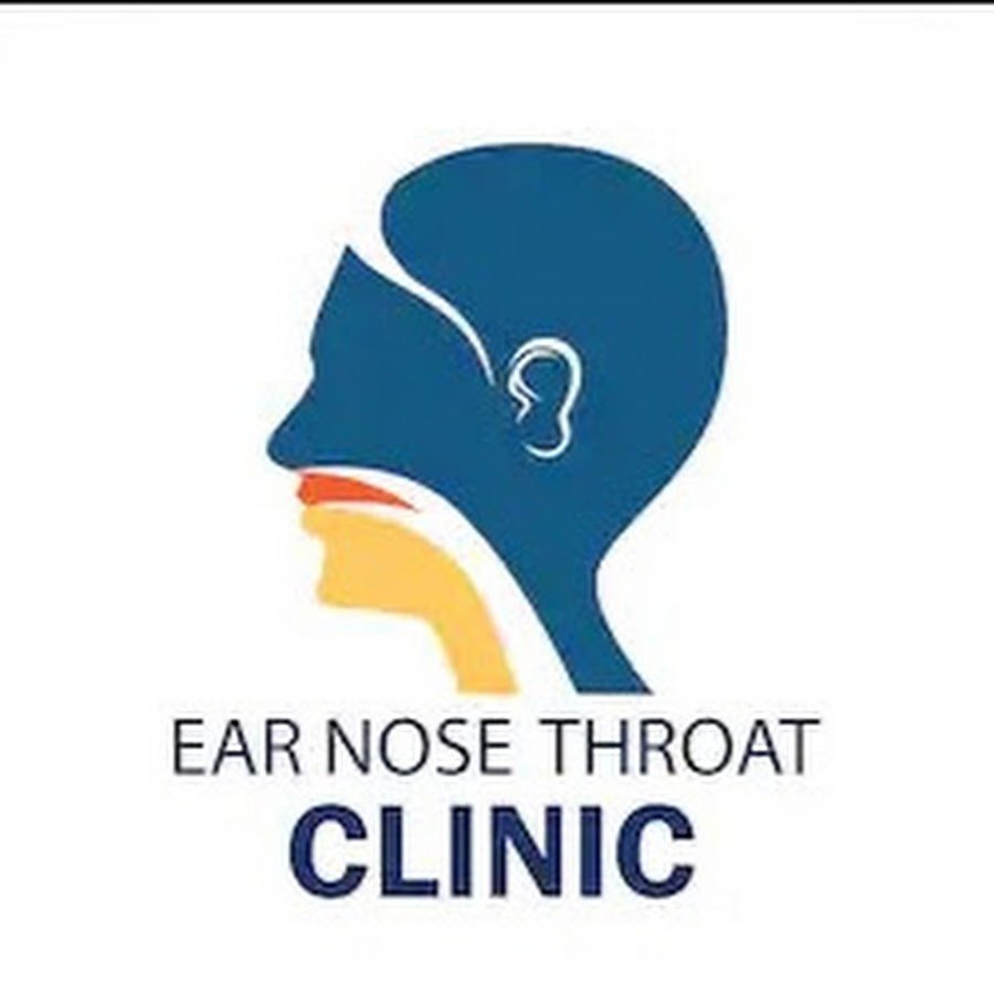 Ухо горло нос анатомия как устроено