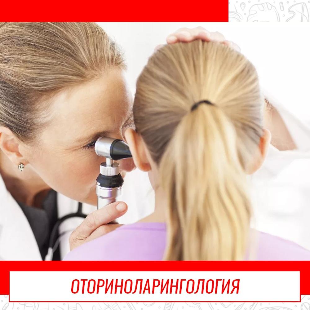 Анатомия уха горла носа