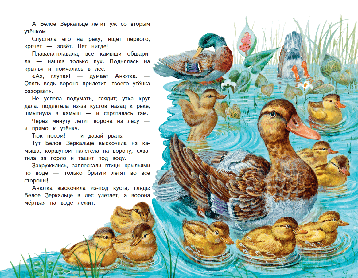 Детская книжка про уточку