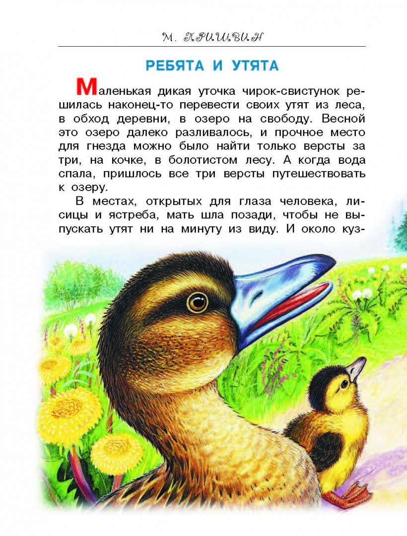 Утята на пруду для детей