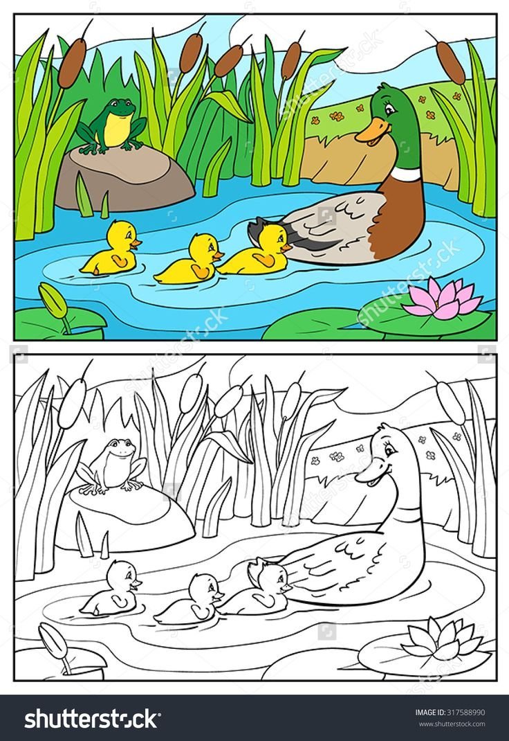 Гадкий утенок иллюстрации Антона Ломаева