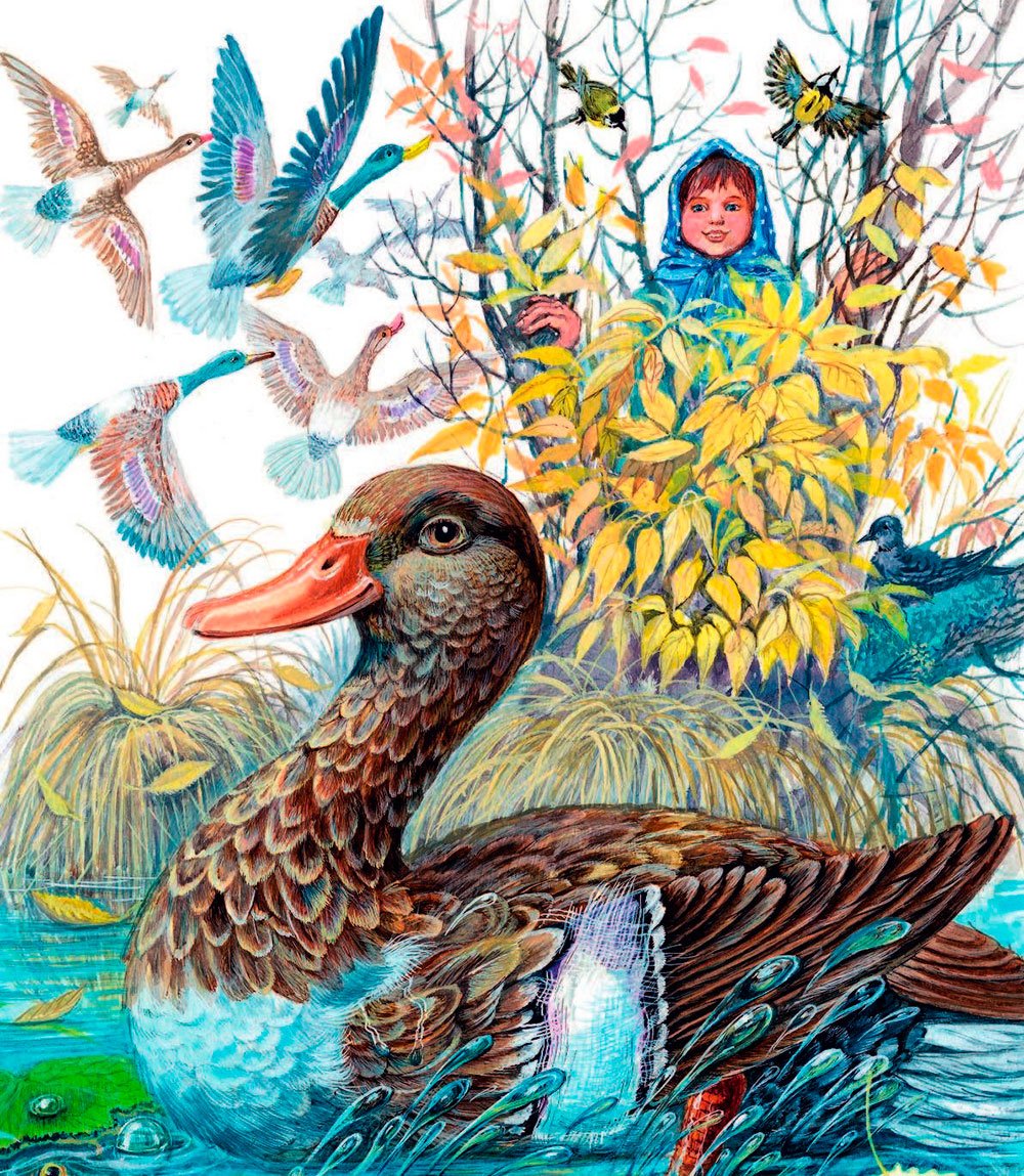 Утки в камышах