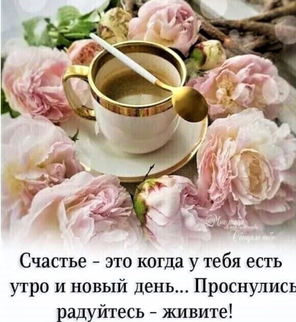 Хорошего дня и здоровья