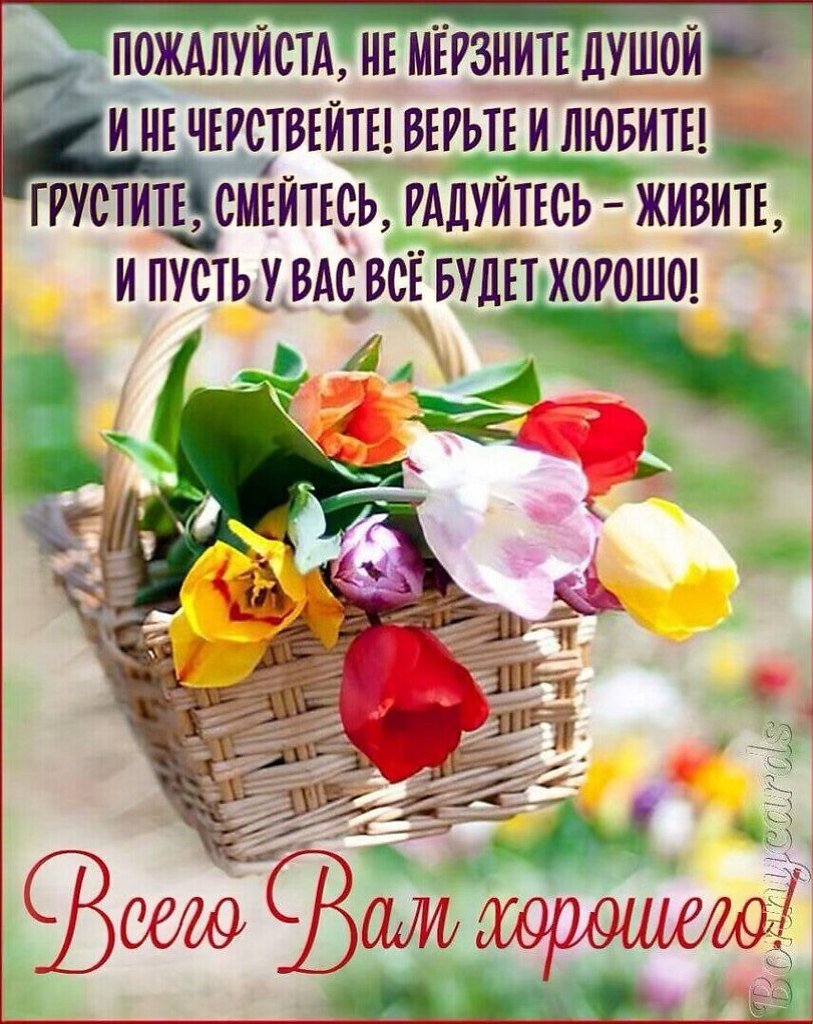 Душевные пожелания с добрым утром