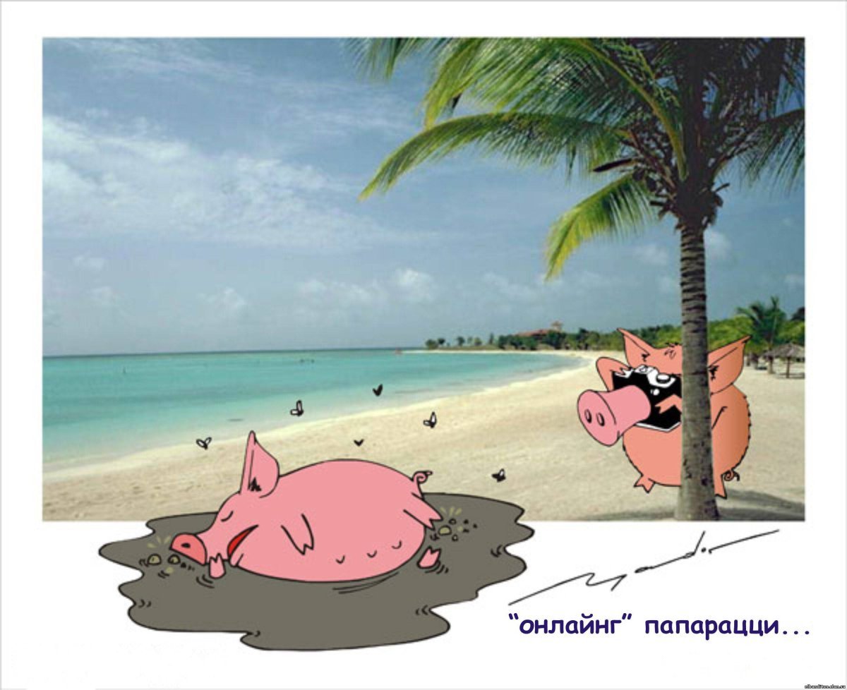 Свинья на пляже под пальмой