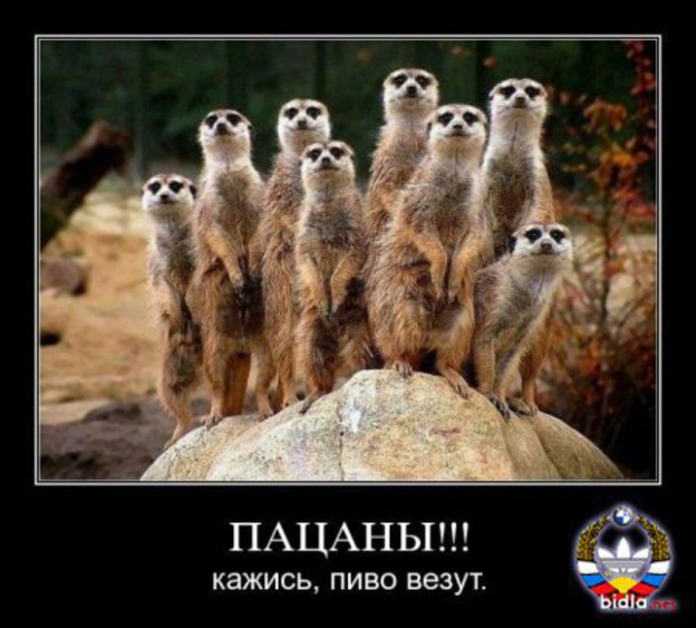 Приколы про семью