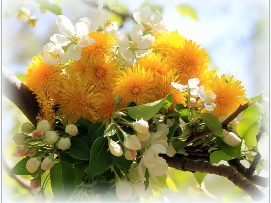 Доброе утро благословенного дня