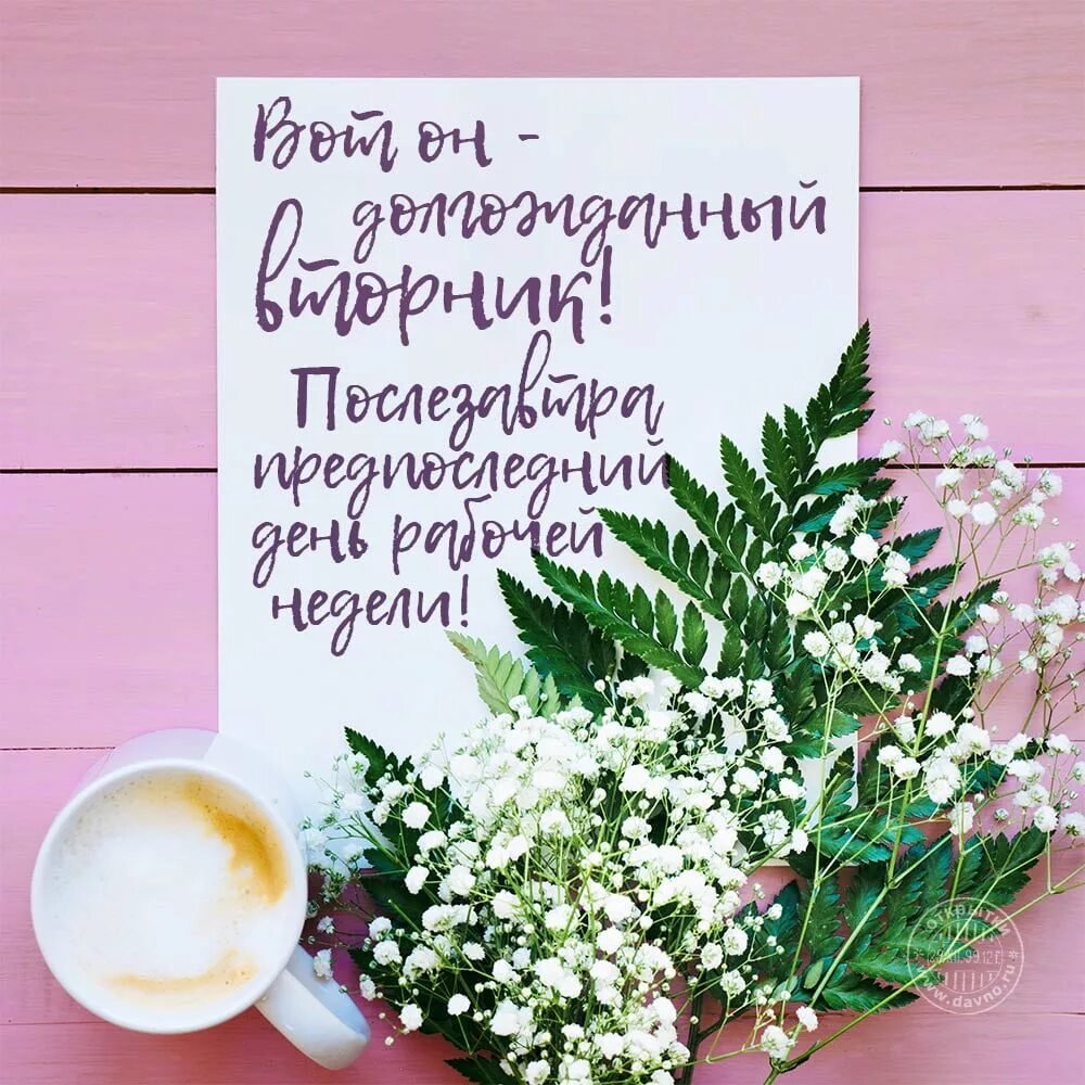 Вторник креативно