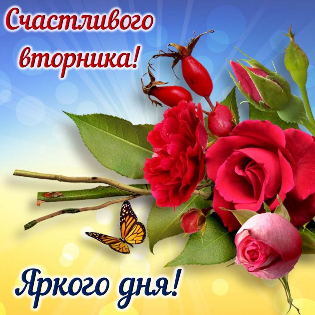 Стол сверху