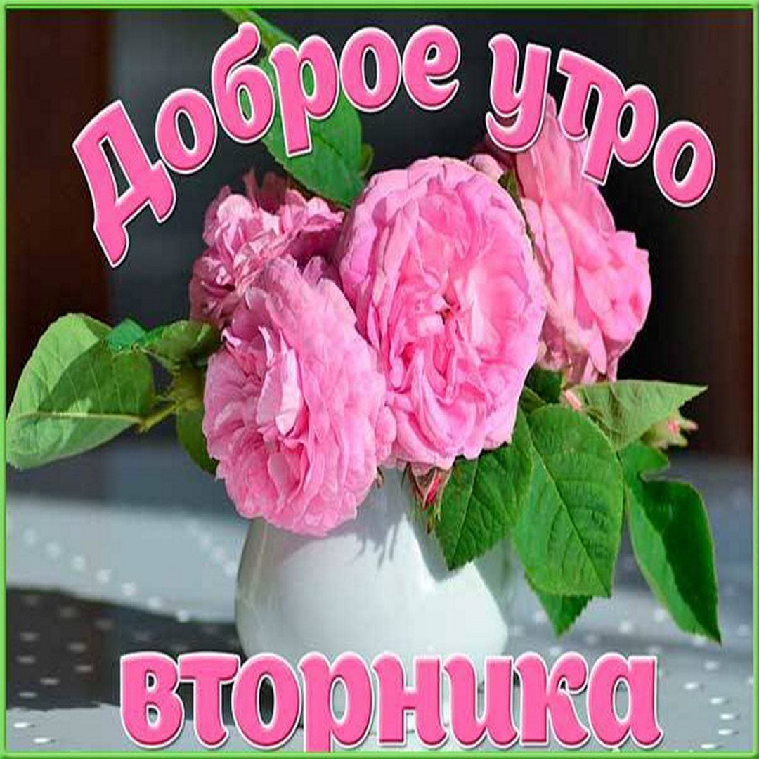 С добрым утром вторника