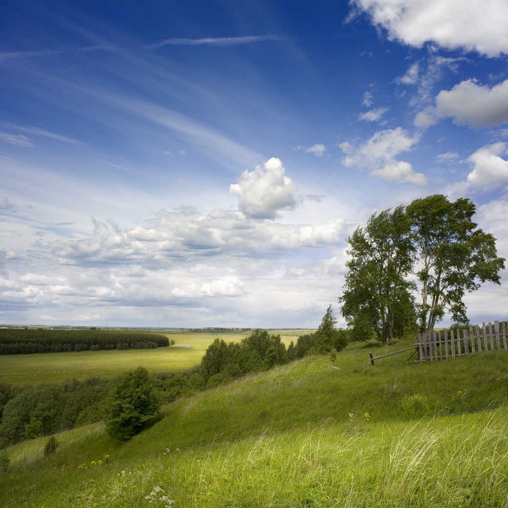 Родные просторы Пушгоры панорама