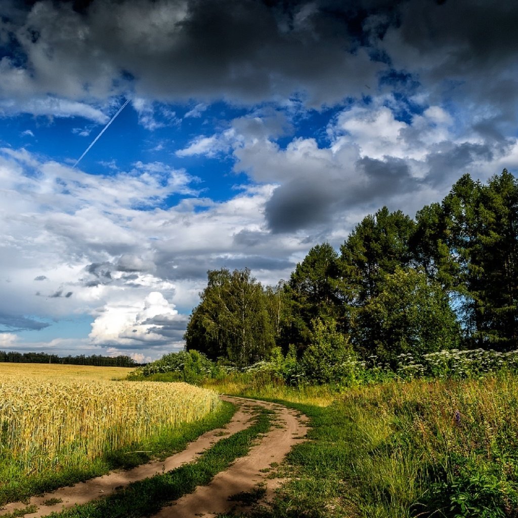 В поле за околицей