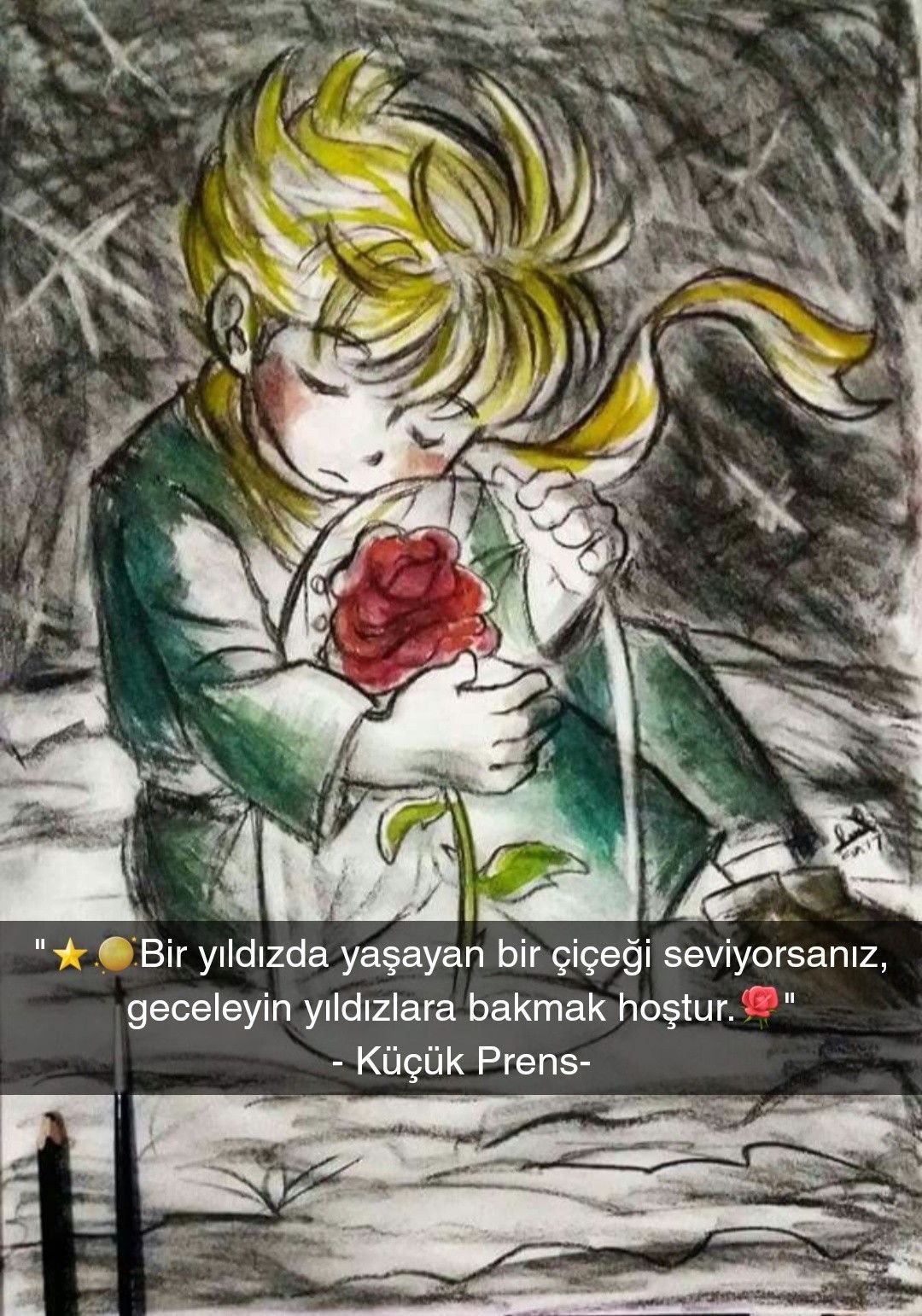 Экзюпери маленький принц роза