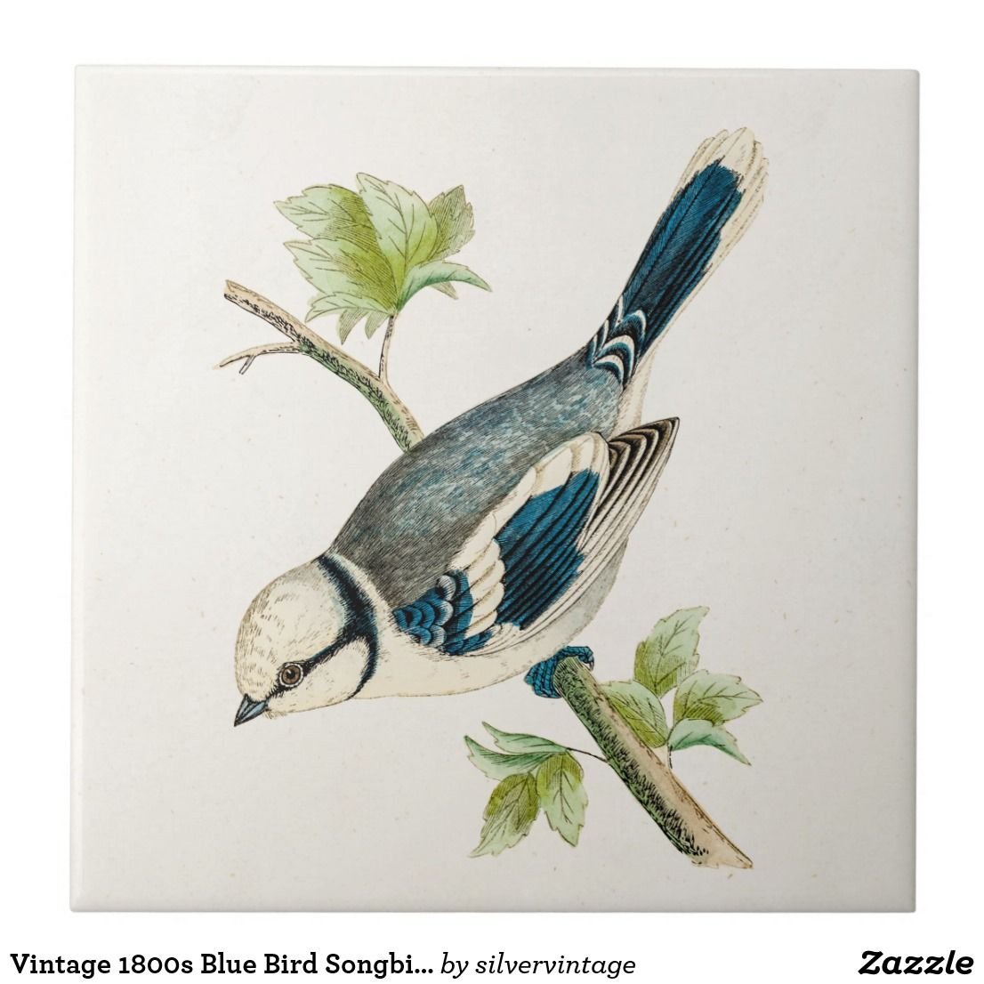 Гравюра синица