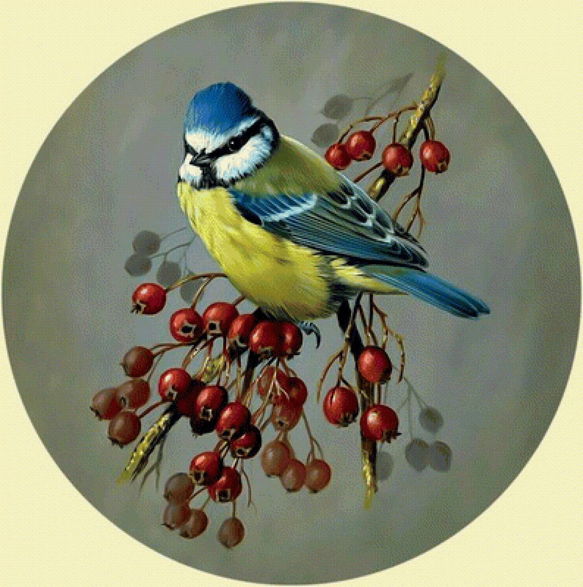 Птичка синичка на ветке