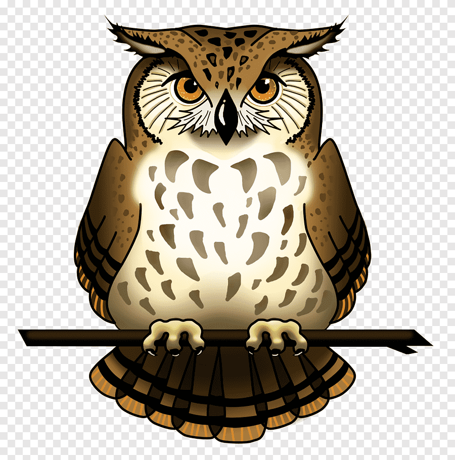 Сова рисунок