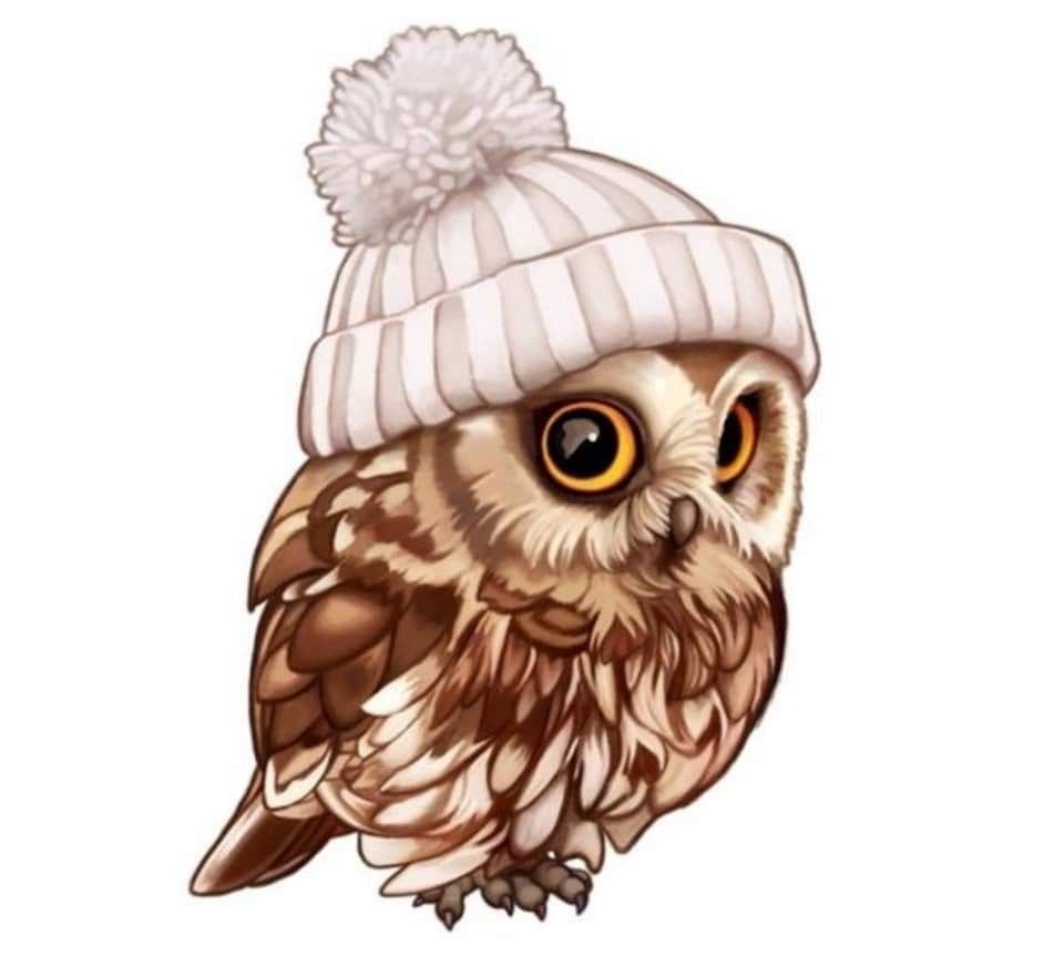 Сова рисунок