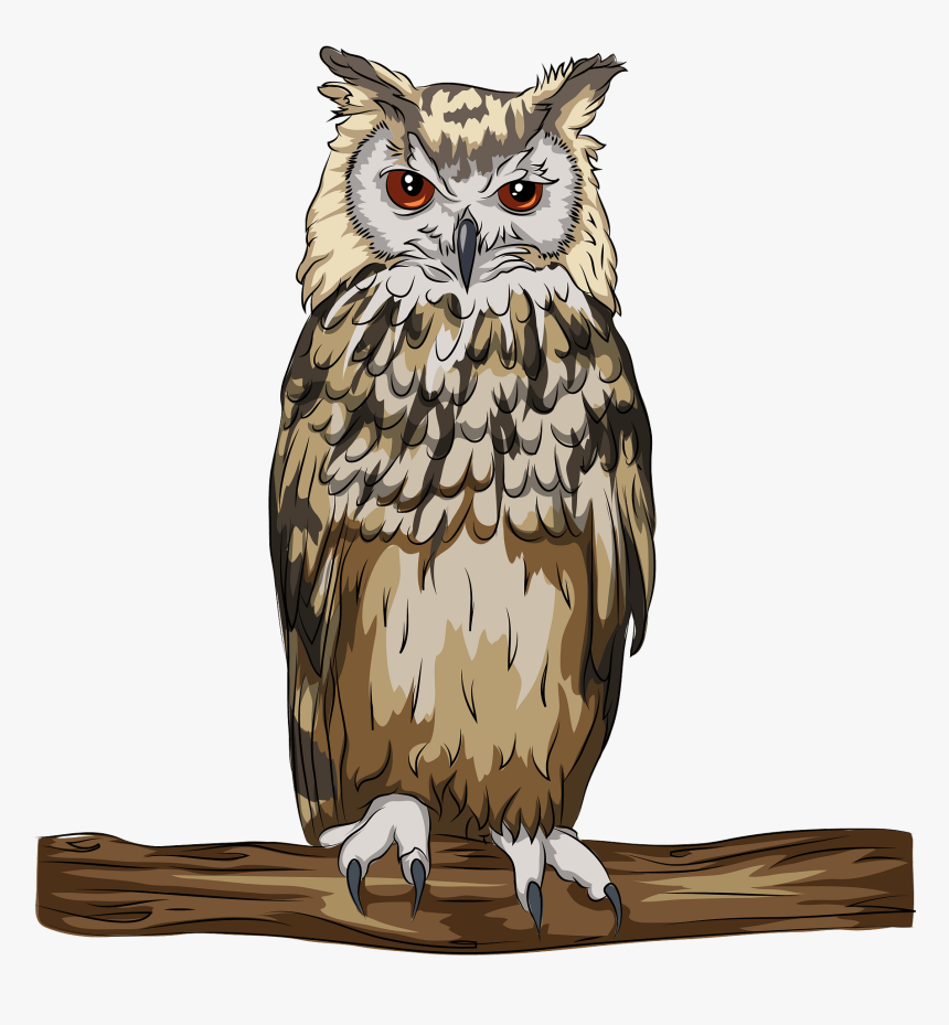 Сова на прозрачном фоне