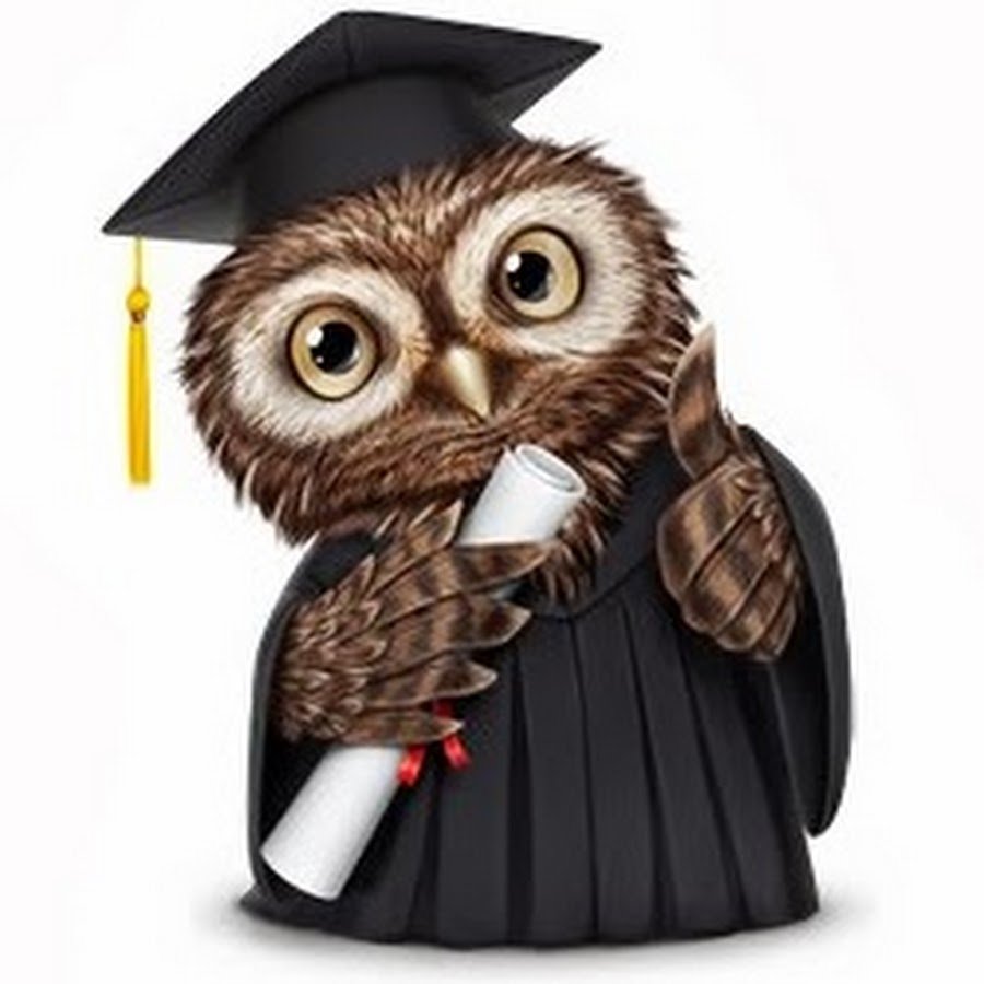 Мудрая Сова