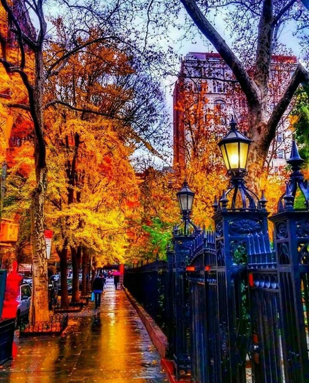 Одна осенью