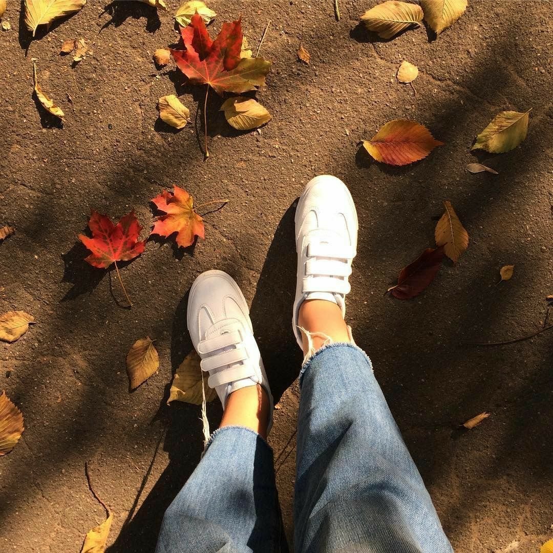 Парк Нью-Йорка осень вечер