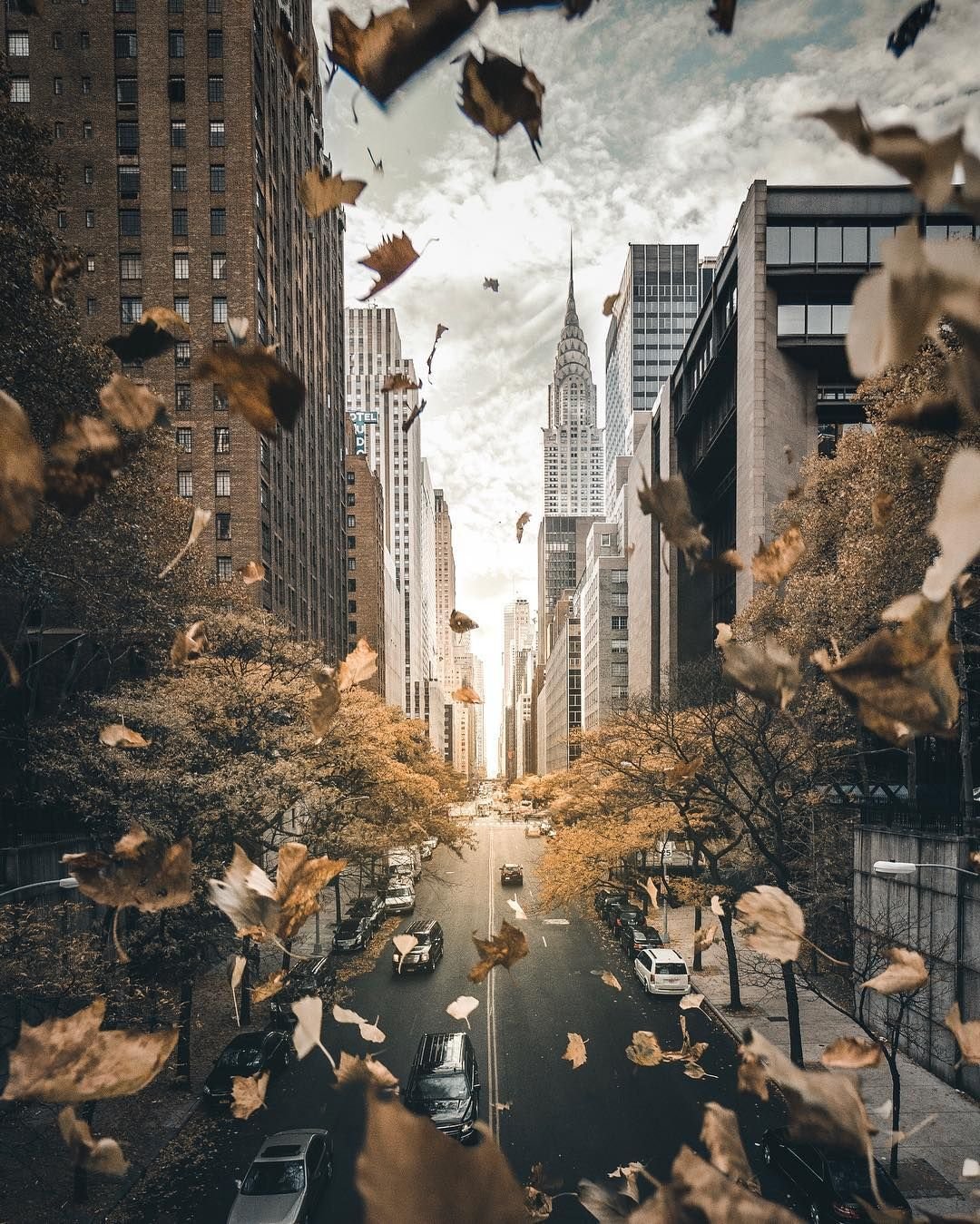 Пинтерес фотосессия осень