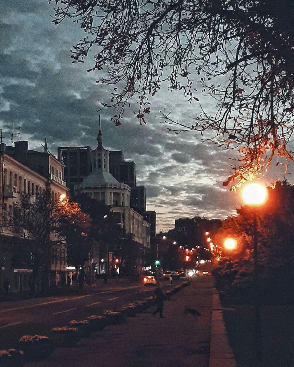 Фотосессия с листьями дома