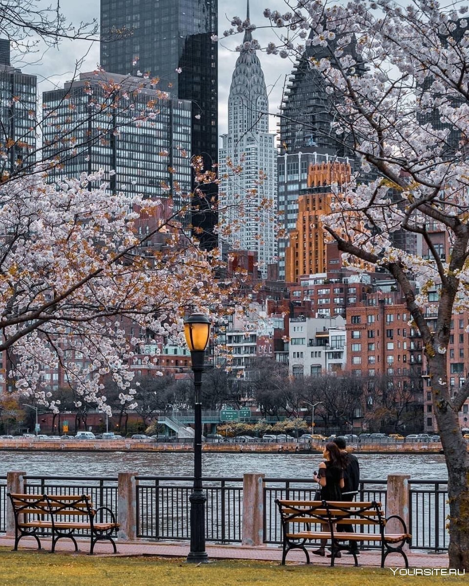 Осень красивые девушки Инстаграм