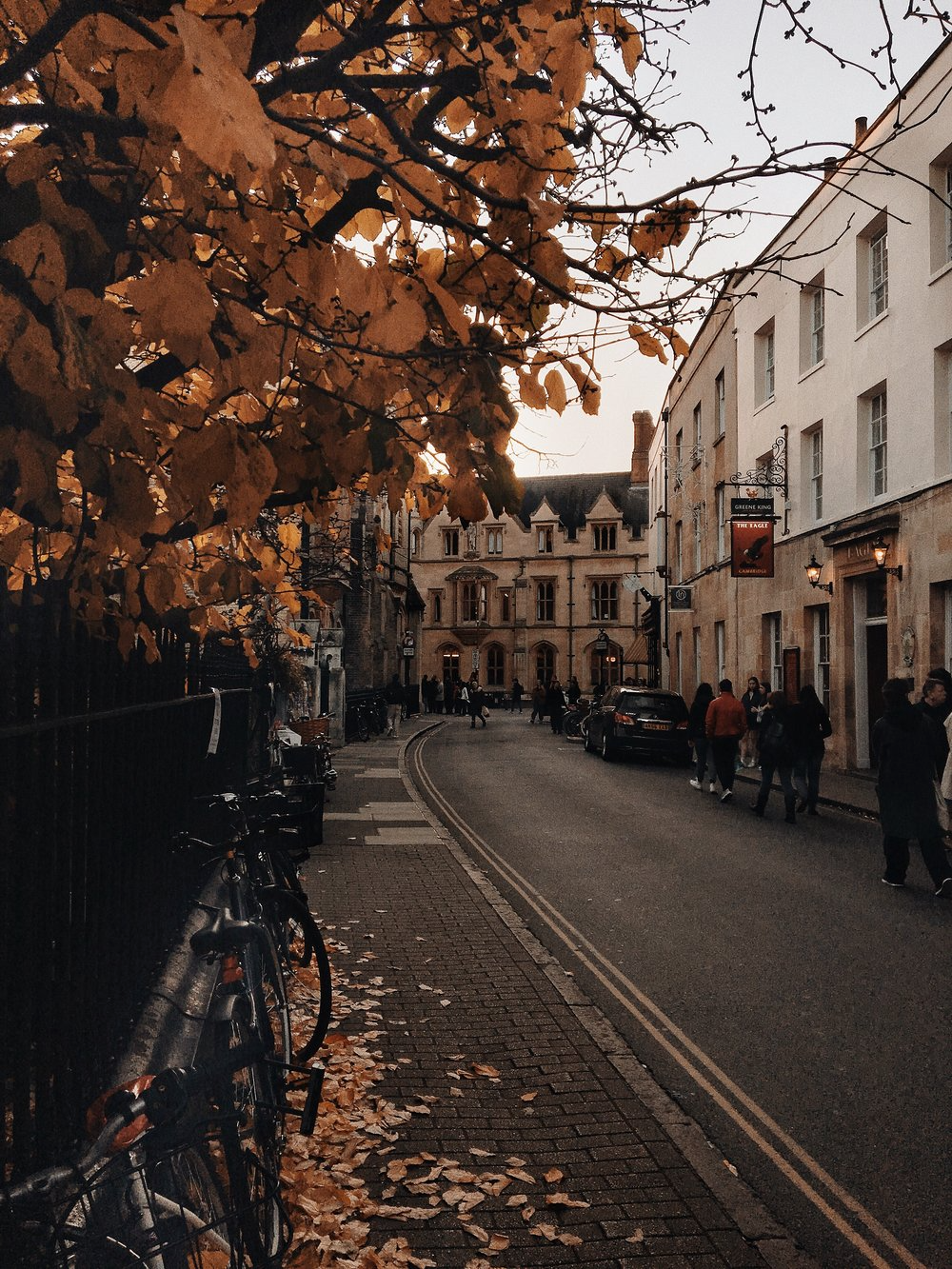 Необычная осень