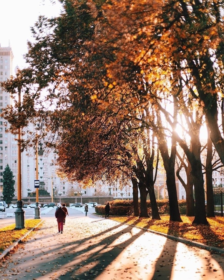 Ноги в листве осенней