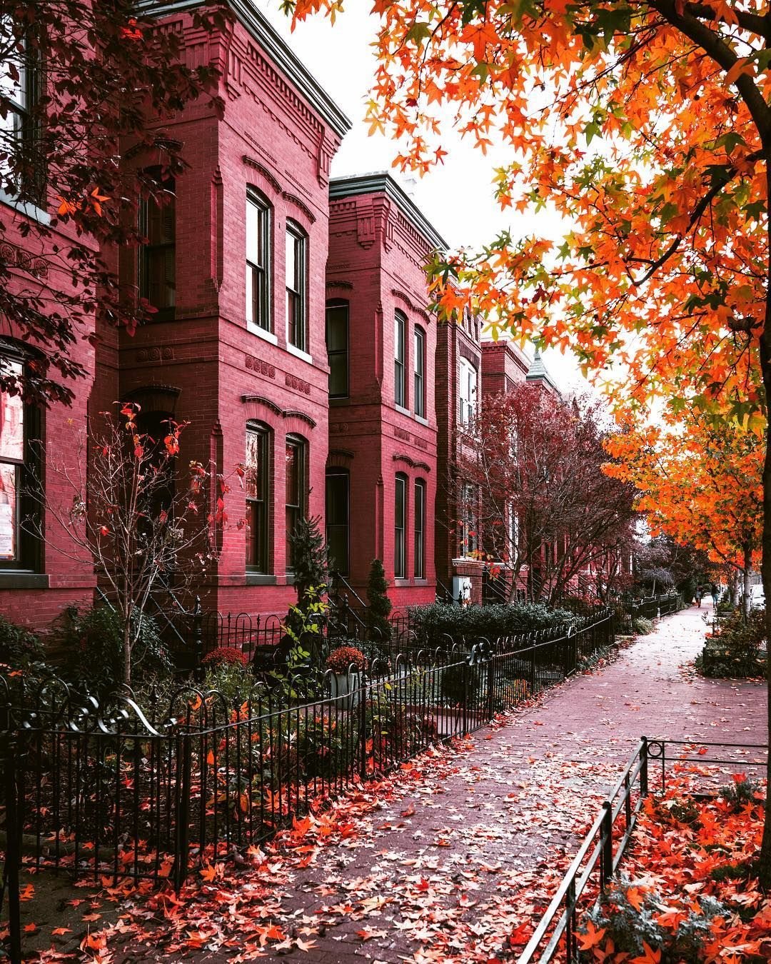 Андрей Михайлов фотограф Санкт-Петербург