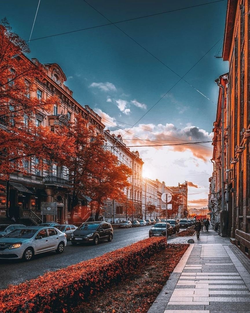 Центральный парк Нью-Йорк дождь