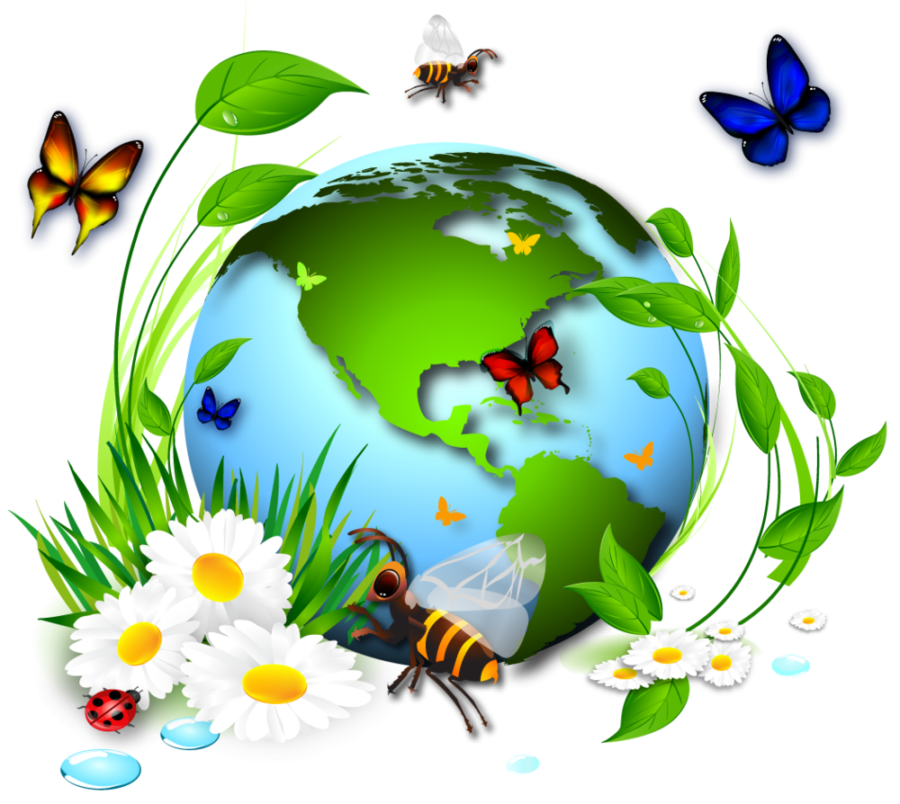 Детям об экологии