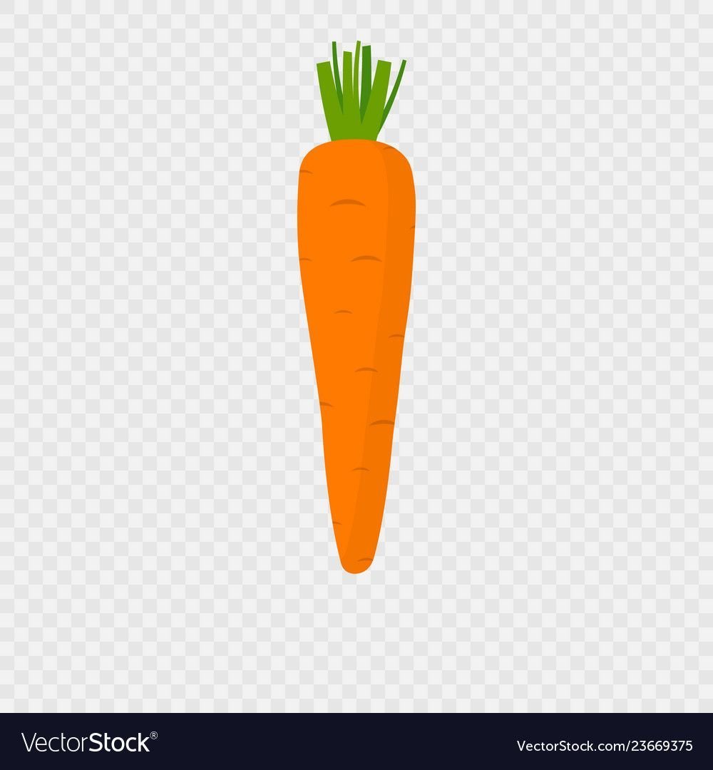 Красивый рисунок моркови