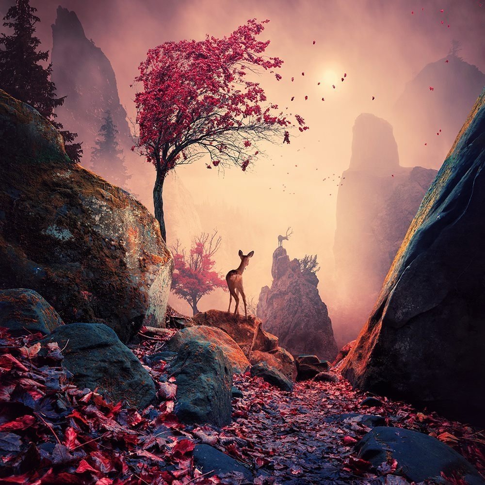 Художник Карас Йонут